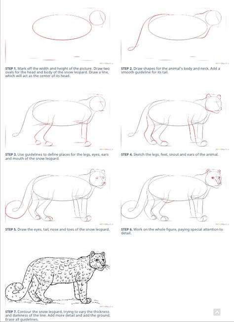 How to draw a snow leopard How To Draw A Leopard Step By Step, How To Draw A Snow Leopard Step By Step, How To Draw A Leopard, How To Draw Leopard Print, Leopard Print Drawing, Feline Drawing, Leopard Sketch, Leopard Walking, Snow Leopard Drawing