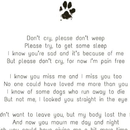 Quotes For A Dog That Passed, Dog Quotes Saying Goodbye, We Don’t Deserve Dogs Quotes, Passed Dog Quotes, Goodbye To Pets Dogs, Losing Your Childhood Dog Quotes, Saying Good Bye To Your Dog, Prayers For Pet Loss, Pet Grievance Quotes