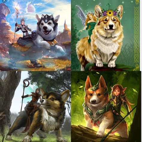 FYI: In Welsh folklore #corgi s are the preferred transport for #fairies Welsh Folklore, Queens Corgis, Kelpie Comic, Corgi Fairy Saddle, Corgi Tattoo, Corgi Character, Corgi Fairy Art, Welsh Corgi Cardigan, Corgi Stuff