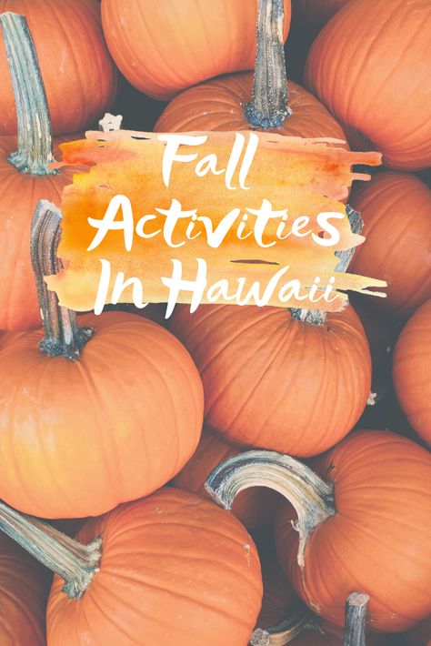 Hawaii In The Fall, Halloween In Hawaii, Fall In Hawaii, Hawaii In October Outfits, Hawaii October, Hawaii In October, Hawaii 2023, Hawaii Guide, Oahu Hikes