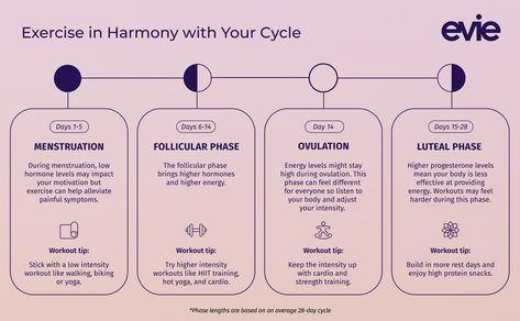 Menstrual Cycle Workout Plan: A Guide to Exercising During Your Menstrual Cycle Phases Infographic, Menstrual Cycle Workout, Period Workout, Cycle Workout, Cycle Phases, Menstrual Cycle Phases, The Menstrual Cycle, Post Workout Protein, Progesterone Levels