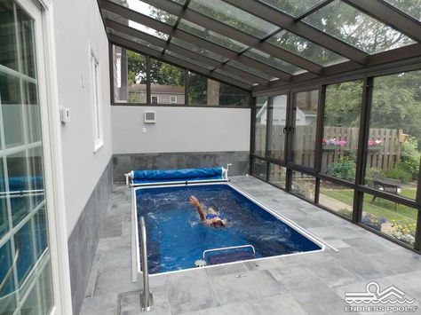 Indoor Swim Spa, Small Indoor Pool, Ideas De Piscina, Endless Pools, Indoor Pool House, Swimming Pool Enclosures, Indoor Swimming Pool Design, Indoor Pool Design, Endless Pool