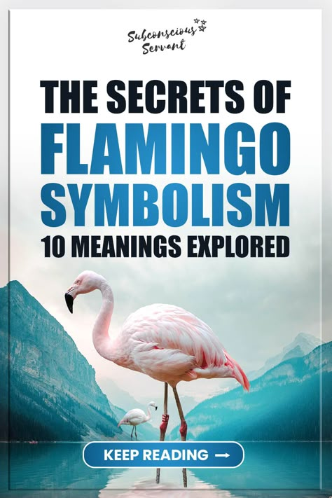 Flamingos Lose Their Pink, Flamingo Sayings Quotes, Flamingo Tattoo Meaning For Moms, Flamingo Tattoos For Women Meaning, Flamingo Quotes Inspiration, Flamingoes Art, Flamingo Names, Get Your Pink Back Flamingo, Flamingo Symbolism