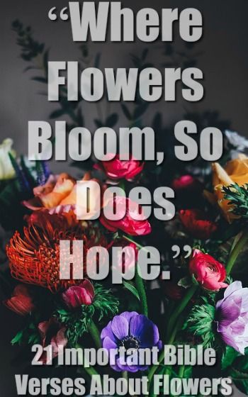 21 Important Bible Verses About Flowers (Awesome Scriptures) Quotes With Flowers Inspirational, Bible Flower Quotes, Bloom Bible Verse, Scripture About Flowers, Flower Verses Bible, Bible Verse About Flowers, Bible Verse With Flowers, Bible Verses About Flowers, Flowers In The Bible