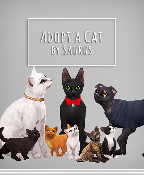 Sims 4 Pets Mod, Sims 4 Cc Patreon, Mods Sims 4, Sims Pets, Cc Patreon, Sims 4 Game Mods, Tumblr Sims 4, Sims 4 Characters, Sims 4 Build