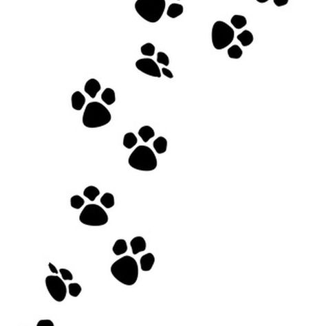 Make paw print symbols with a sequence of symbols and letters on your keyboard. Paw Print Drawing, Paw Ideas, Groom Room, Dog Paw Prints, Puppy Paw Prints, Cat Paw Print, Puppy Paws, Dog Paw Print, Pet Paws