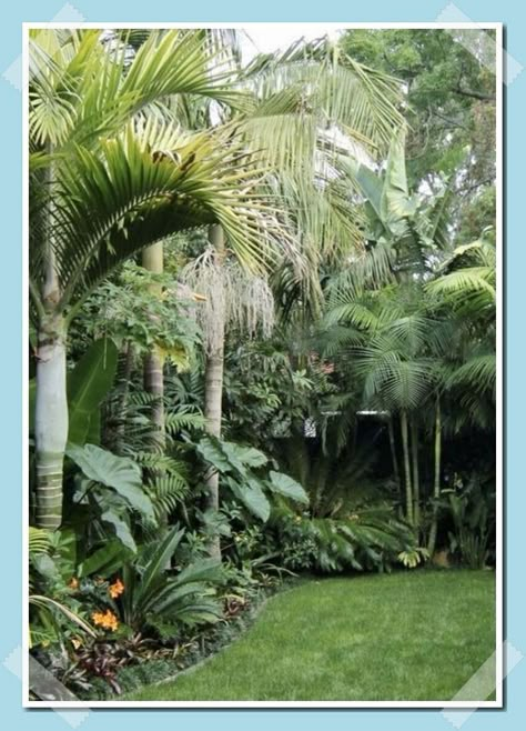 Botanical Landscape Design, Tropical Seating Area, Florida Landscaping Ideas Front Yards Curb Appeal, Tropical Pool Landscaping Ideas, Florida Backyard Landscaping, Small Tropical Backyard, Tropical Landscaping Front Yard, Jungle Yard, Jungle Backyard