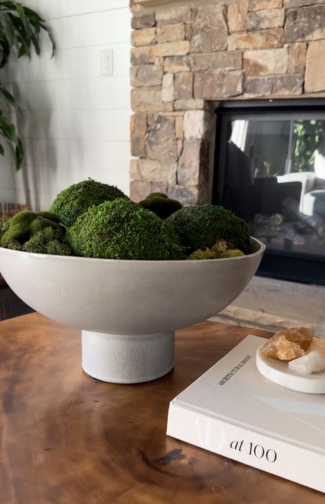 You searched for Moss bowl - Decor Mostly Moss Dish Garden, Moss Balls Decor, Moss Bowl, Bowl Decor, Diy Bowl, Dish Garden, Moss Balls, House Accessories, Rock Decor