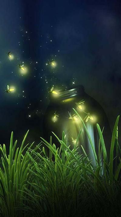 Fireflies Live Wallpaper For Android - Free Download 6A2 Lighting Bugs, Matka Natura, Seni Cat Air, Sleep Tight, Firefly, 그림 그리기, Beautiful World, Night Sky, Night Skies