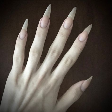 Hallographic Nails, Nails Dark, Sharp Nails, Fairycore Grunge, Grunge Fairycore, Aesthetic Nails, Trening Fitness, Grunge Nails, Fairy Aesthetic