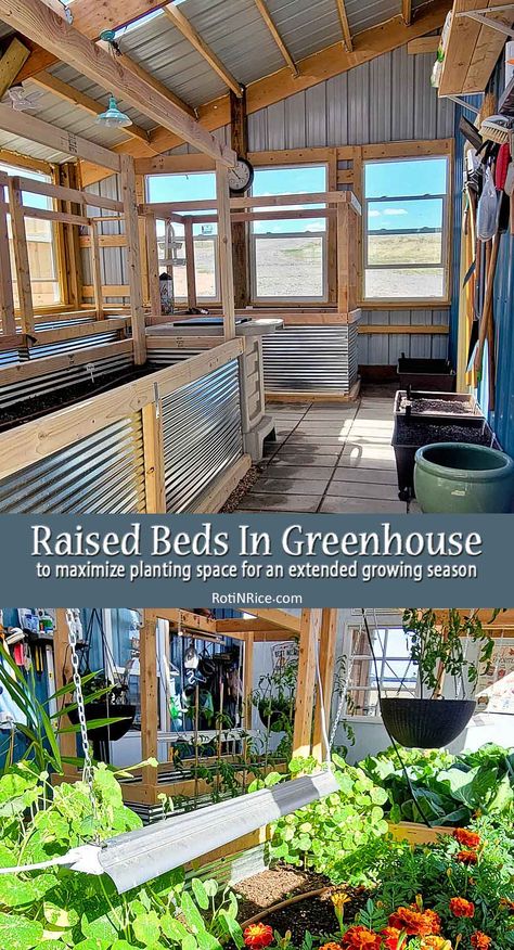 Greenhouse Veggie Garden, How To Set Up A Greenhouse, Greenhouse Set Up Inside, Raised Bed Greenhouse, Terraced Vegetable Garden, Greenhouse Planting, Farm Light, Indoor Planting, Vegetable Garden Beds