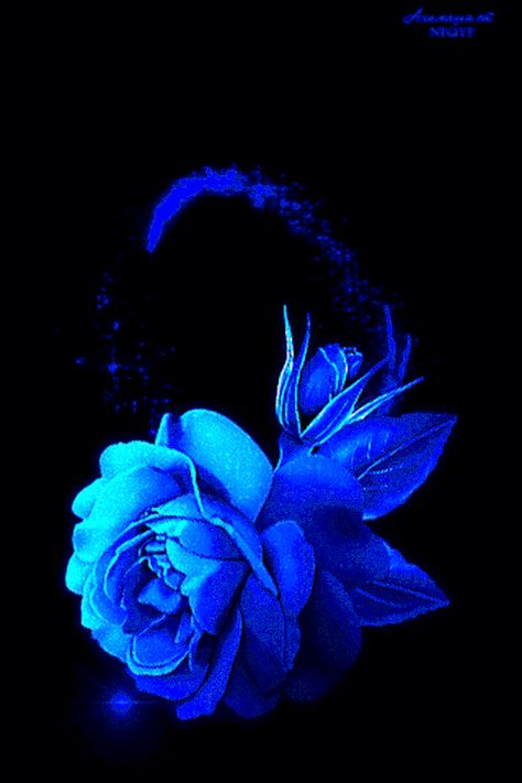 Gif Paradise Animated Heart Gif, Roses Gif, Beau Gif, Blue Roses Wallpaper, Animated Heart, Rose Belle, Flowers Gif, Beautiful Flowers Wallpapers, Beautiful Gif