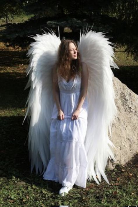 Wings. I mean- not for me. 😅😂🤣🤣🤣😂 I just think they’re gorgeous. Look how pretty 💕 Wings Outfit, Angel Costume Diy, Family Props, Angel Outfits, Romantic Portrait, Angel Halloween Costumes, Diy Angel Wings, Angel Wings Costume, Christmas Family Photoshoot