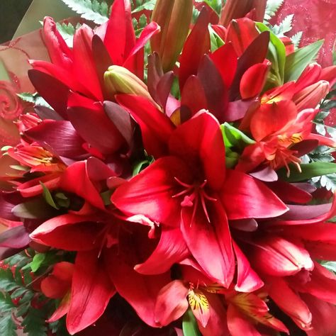 Red lillies and Safari bouquet Red Lily Bouquet, Valentines Wedding, Red Lily, Lily Bouquet, Lily Flowers, Fall Wedding Flowers, Beautiful Bouquet Of Flowers, Valentine Wedding, Lily Flower