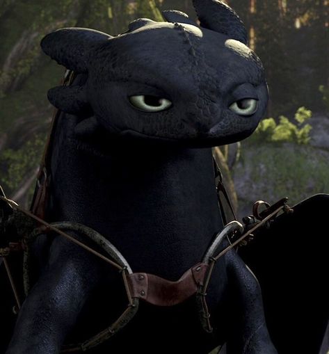 Toothless Funny, Aesthetic Httyd, Httyd Icons, Httyd Wallpaper, Httyd Aesthetic, Toothless Wallpaper, Dragons Aesthetic, Cute Toothless, Httyd Toothless