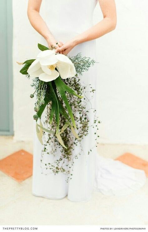 Amazing & Quite Unique Cascading Bridal Bouquet With: White Magnolia, Green Poppy Pods & Several Varieties Of Tropical Foliage~~ Magnolia Bouquet, Wedding Flower Guide, Magnolia Wedding, Minimalist Bride, Flower Guide, Nontraditional Wedding, Botanical Wedding, Bouquet Of Flowers, Arte Floral