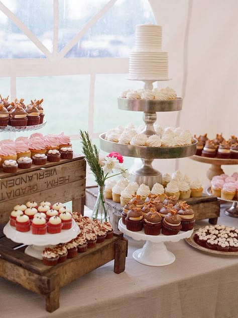 Wedding Cupcake Table, Cupcake Table, Wedding Cake Display, Dessert Original, Small Wedding Cakes, Dessert Table Ideas, Wedding Cake Table, Cupcake Display, Wedding Dessert Table