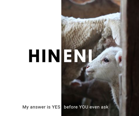 Lamb Sacrifice to the Lord Hineni Hebrew, Here I Am Lord, Isaiah 6, Send Me, Verses, Bible Verses, Bible, Jesus