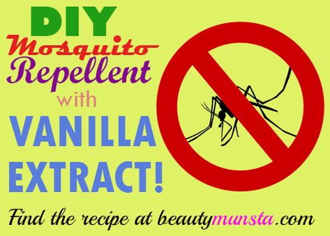 More and more of us are coming to realize that conventional insect repellents are hazardous to our health and the environment, as they almost always contain hazardous chemicals like DEET. Yet mosquitoes are annoying, their bites are painful and cause swelling, and they can just about ruin an entire picnic party – what can we … Vanilla Extract Insect Repellent, Mosquito Repellent Vanilla Extract, Diy Vanilla Mosquito Repellent, Vanilla Insect Repellent, Vanilla Extract Bug Spray Recipe, Vanilla Bug Repellent, Vanilla Extract Mosquito Repellant, Vanilla Mosquito Repellant, Vanilla Bug Spray Recipe