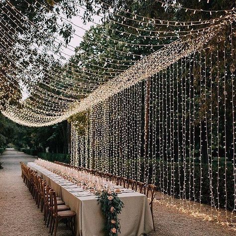 Outdoor Wedding Reception Lighting, String Fairy Lights, Fairy Lights Wedding, Light Tunnel, Outdoor Fairy Lights, Garden Reception, Luxury Garden, Xmas Lights, Garden Party Wedding