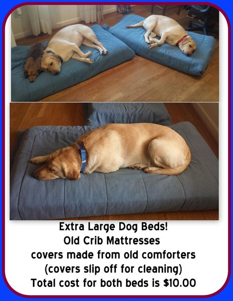 Crib Mattress Dog Bed, Lou Dog, Extra Large Dog Bed, Mattress Dog Bed, Diy Dog Bed, Dog Kennel Outdoor, Cool Dog Beds, Dog Rooms, Dog Bed Large