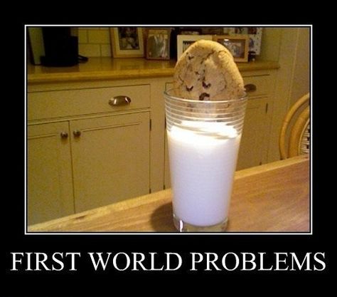 cookie. You know you want one. Come check out Stolendroids! 1st World Problems, Very Demotivational, Demotivational Posters, First World Problems, World Problems, Struggle Is Real, Bones Funny, First World, True Stories