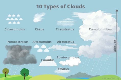 Types of Clouds and How to Recognize Them Different Clouds Types Of, Different Types Of Clouds Drawing, Different Kinds Of Clouds, Types Of Clouds Anchor Chart, Types Of Clouds For Kids, Cloud Identification, Weather Birthday Party, Clouds Types, Homeschool Group Ideas