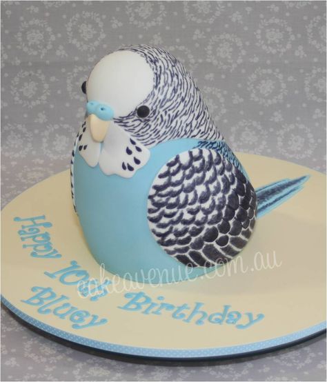 Sculpted Budgie Cake by Cake Avenue, with hand painted details. Stands 10 inches tall. Bird Shaped Cake, Parrot Cakes, Bird Theme Cake, Vegan Christmas Treats, Budgie Art, Best Large Dog Breeds, Bird Cake, Hand Painted Cakes, Bird Cakes