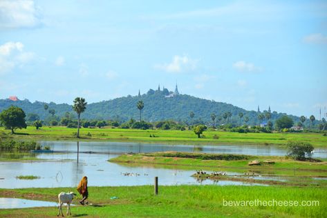 Travel Landscape Photography, Agriculture Future, Landscape Reference Photos, Vietnam Landscape, Landscape Drawing Tutorial, Rural Photography, Best Landscape Photography, Landscape Reference, Abstract Art Images