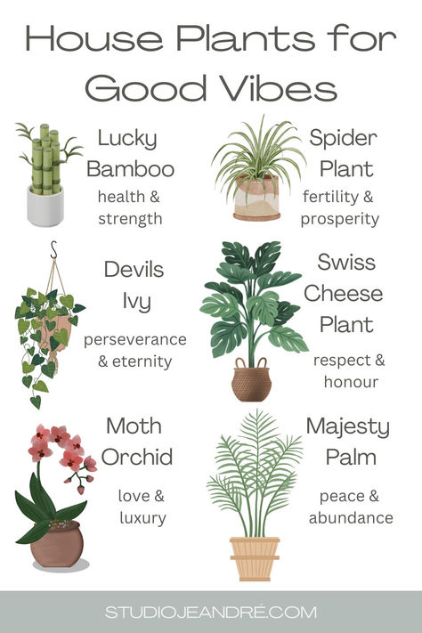 indoor plants, house plants, plant decor, plant aesthetic, indoor plant decor, indoor plants stylish, hanging plants indoor, best indoor plants Plant Guide Indoor, Indoor Room Plants, Home With Plants Aesthetic, Inside Hanging Plants, Indoor Houseplants Decor, Pretty Indoor Plants, Cute Indoor Plants, Plant Room Ideas Aesthetic, Best Plants For Inside The House