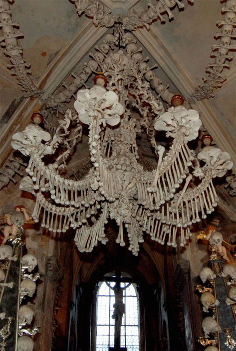 Sedlec Ossuary, Human Bones, Church Interior, Bone Art, Gothic Aesthetic, Gothic Architecture, Amazing Facts, The Bone, Memento Mori