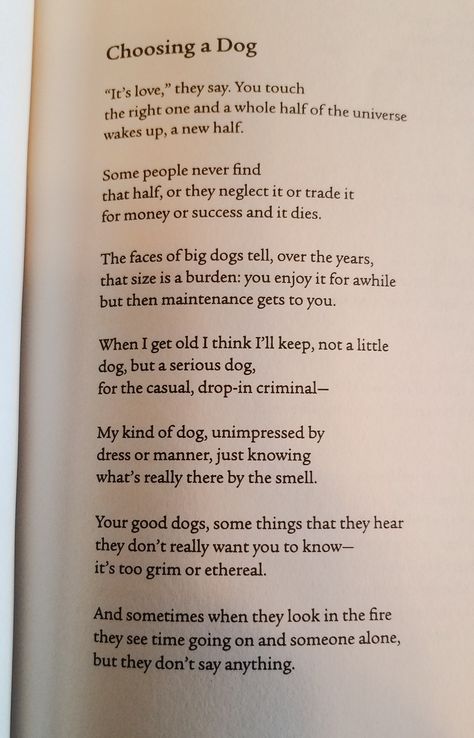 William Stafford Poetry, William Stafford, All Dogs Go To Heaven, Dogs Go To Heaven, All Dogs, To Heaven, Poets, A Dog, Wake Up