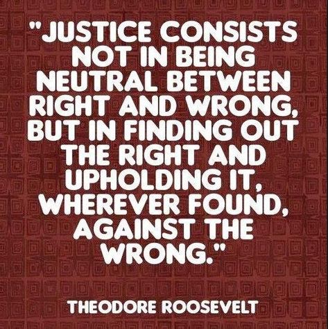 It's time to stand firm, and fight back for the sake of election integrity, not just for President Trump, but for all future elections. United, we can fight back. It is not just a Republican issue, it should be for both parties, if integrity, and justice are part of your conscious. Social Justice Quotes, Justice Quotes, Law Quotes, Images With Quotes, Right And Wrong, Theodore Roosevelt, People Quotes, What’s Going On, Quotable Quotes