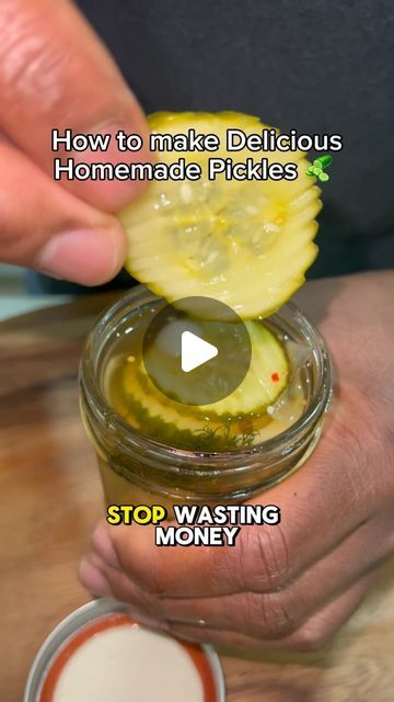 David Rose on Instagram: "Make Delicious & Easy Homemade Pickles!!!! 🥒 

Will you be making this recipe??

Ingredients:
1 pound sliced cucumbers, about 1/4” sliced (preferably pickling cucumbers) 
2 cups apple cider vinegar 
2 cups water
1/3 cup brown sugar 
1/2 white onion, thinly sliced 
2 garlic cloves, smashed 
2 tablespoons kosher salt
2 tablespoons pickling spice
2 tablespoons fresh dill fronds 
1/2 teaspoon crushed red pepper flakes

#chef #food #pickles #homemade" Snack Peppers Recipe, How To Make Pickles From Cucumbers, Pickle Cucumber Recipes, Cucumber Pickle Recipes, Home Made Pickles Recipe, Fresh Pickles, Diy Pickles, Pickles Homemade, Pickling Cucumbers Recipe