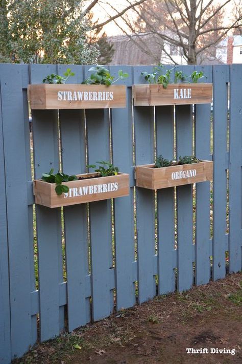 Upgrade your backyard fence by displaying your container garden.  #spring #diy #garden #decor #design #exteriors #backyard Blue Fence, Full Garden, Funny Vine, Easy Fence, Diy Garden Fence, Decoration Shabby, Cedar Planters, Fence Decor, Wooden Planters