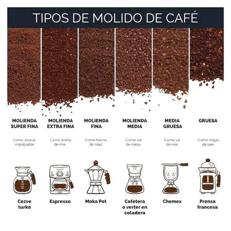 Facebook Marley Coffee, Coffee Chart, Coffee Process, Cafe Barista, Types Of Coffee, Coffee Latte Art, Coffee Guide, Coffee Facts, Coffee World