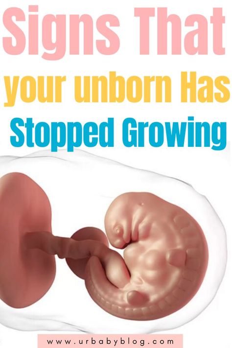 These are the warning 10 signs that suggest the fetus has stopped growing #pregnancy #pregnancyhealth #safepregnancy #misccariage #babyinthewomb #unbornhealth #unborn Baby In Womb, Losing A Baby, Prenatal Care, Unborn Baby, 20 Weeks, Baby Blog, Pregnancy Safe Products, Pregnancy Health, The Warning