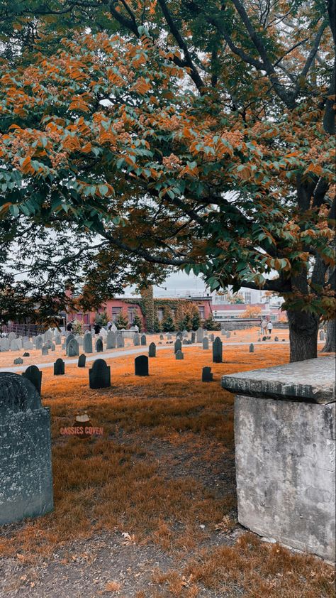 Spooky cemetery in Salem Massachusetts #cemetery #salem #spooky #halloween Autumn In Salem, Salem Massachusetts Halloween Aesthetic, Salem Halloween Aesthetic, Salems Lot Aesthetic, Salem Core, Salem Massachusetts Aesthetic, Salem Aesthetic, Standalone Books, Spooky Cemetery