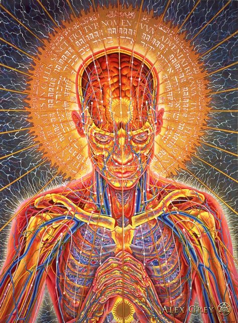 Alex Gray Art, Sf Wallpaper, Alex Grey, Psy Art, Grey Art, Wow Art, Gray Design, Visionary Art, The Human Body