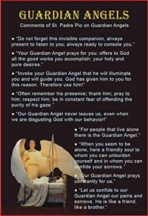 Padre Pio Quotes, Catholic Saints Prayers, Catholic Theology, Guardian Angels Prayer, Mother Angelica, St Padre Pio, Catholic Beliefs, Saint Quotes Catholic, Angel Prayers