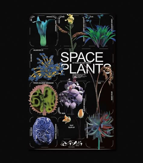 Instagram Card Design, Farm Graphic Design, Space Plants, Graphic Design Aesthetic, Instagram Graphic Design, Instagram Poster, 3d Poster, Graphic Design Cards, Digital Archives