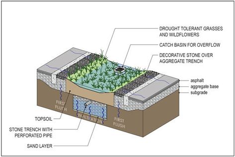 7: Cross section rain garden scheme [26]  | Download Scientific Diagram Rain Garden Design, Urban Spaces Design, Sponge City, Construction Drawing, Retention Pond, Scientific Diagram, Eco City, Rain Collection, Sustainable Technology