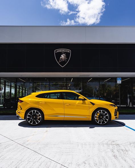 Lamborghini Urus Yellow, Lambo Urus, Lamborghini Dealership, Best Suv Cars, Dream Cars Lamborghini, Range Rover Supercharged, Fuel Efficient Cars, Lamborghini Urus, Porsche Taycan