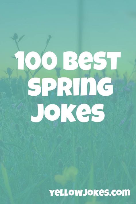 Spring Jokes Funny, Spring Jokes, Spring Message, April Quotes, Halloween Jokes, Short Jokes, Clean Jokes, Short Humor, Feeling Sick