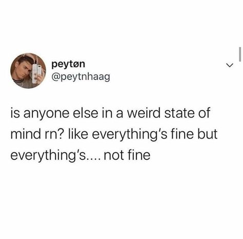 Everything is fine but also everything is not fine Memes Of The Day, Really Deep Quotes, Jumping For Joy, Everything Is Fine, Nalu, Daily Memes, Super Happy, Deep Thought Quotes, What’s Going On