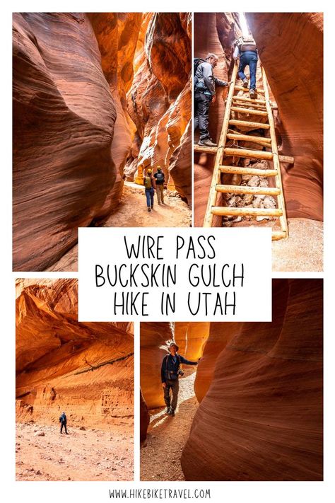 red rock canyons, people walking, people coming down a ladder Buckskin Gulch, Utah Bucket List, Utah State Parks, Kanab Utah, Great Basin National Park, Utah Vacation, Utah Adventures, Utah Road Trip, Zion National Park Utah