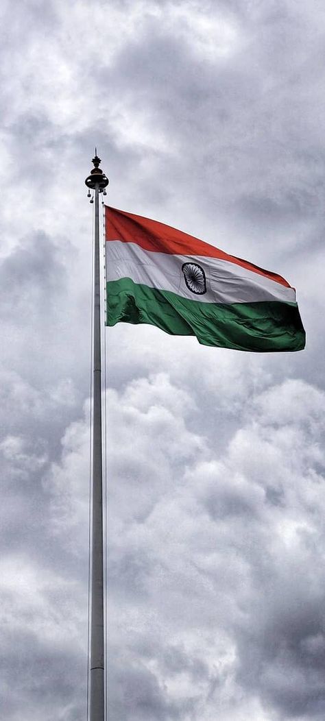 Indian Flag Pic, Lion Hd Wallpaper, Flag Of India, Freedom Fighters Of India, Full Hd Wallpaper Download, Indian Flag Images, Happy Independence Day India, Indian Flag Wallpaper, Facebook Post Design