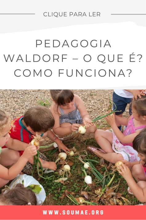 Muito além de uma mera transmissão de conhecimento a pedagogia Waldorf tem a finalidade no desenvolvimento integral da criança em todos os seus aspectos físicos-anímico-espirituais #pedagogiawaldorf #waldorf #desenvolvimentoinfantil #espacowaldorf Montessori