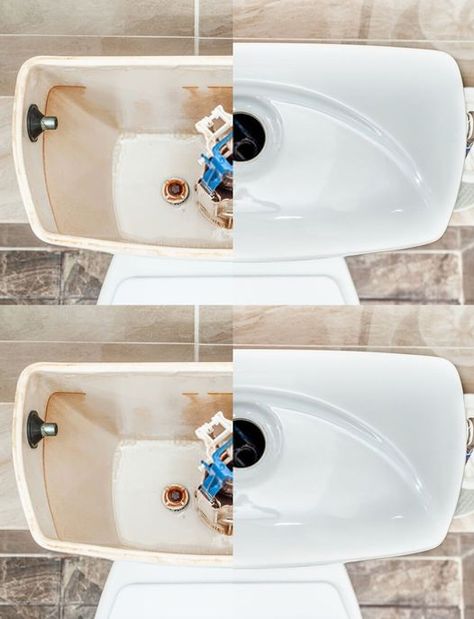 Put Vinegar In The Toilet Tank: You Will Solve A Huge Problem - middleeastsector Dishwasher Cleaner, Toilet Tank, Water Softener, Scrub Brush, Toilet Cleaning, Hard Water, Bathroom Cleaning, Natural Cleaning Products, House Cleaning Tips