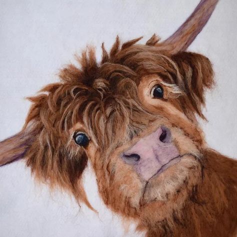 Highland Cow Art, Cow Mug, Scottish Highland Cow, Fluffy Cows, Cow Pictures, Highland Cows, Highland Cattle, Studio Gallery